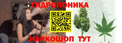 мдпв Старая Купавна