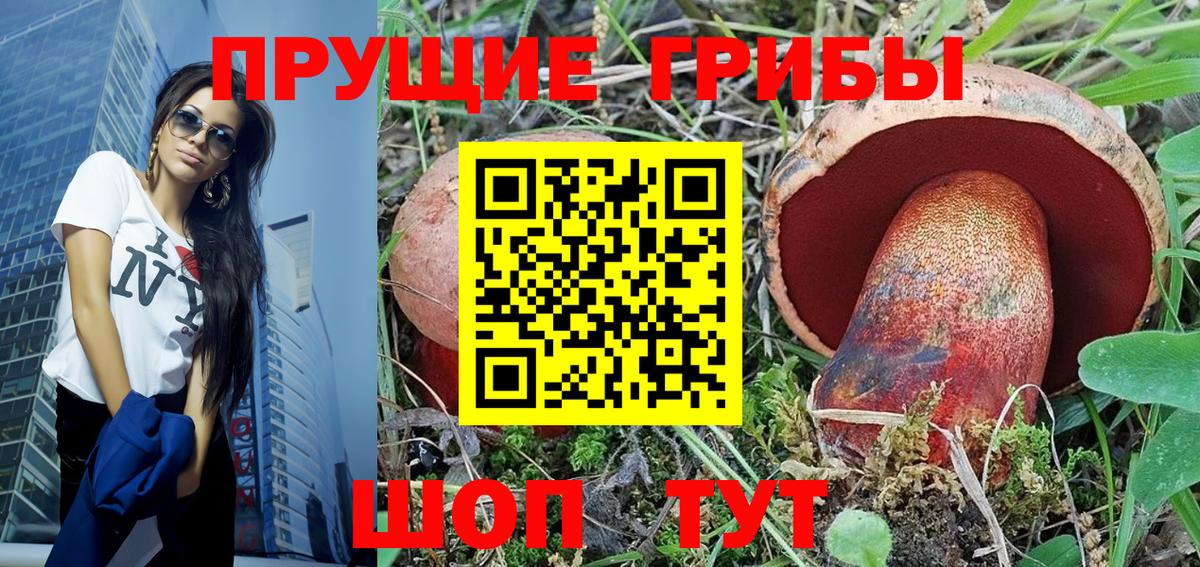 купить наркотики цена  Вход с VPN  Краснокамск  Галлюциногенные грибы MAGIC MUSHROOMS 