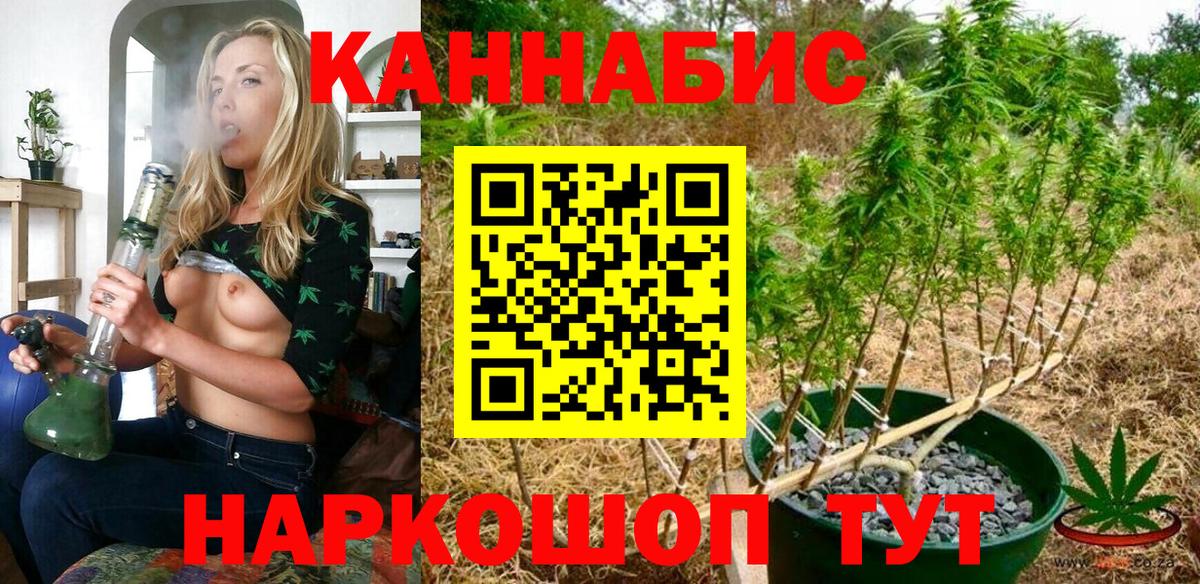 Каннабис OG Kush Краснокамск